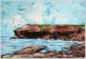 NSCliff©Virginia Spencer,2012