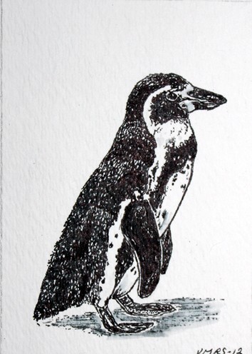 penguin©Virginia Spencer, thepurpledogpaintingblog, 2012