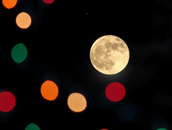 moonbokeh©Virginia Spencer, thepurpledogpaintingblog, 2012