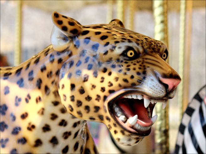 leopard1©Virginia Spencer, thepurpledogpaintingblog, 2013