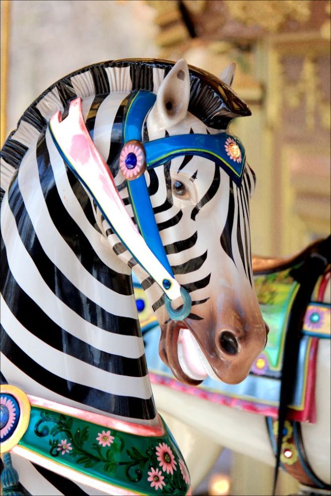 zebra1©Virginia Spencer, thepurpledogpaintingblog, 2013