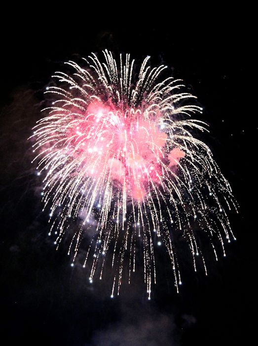 fire4©Virginia Spencer, thepurpledogpaintingblog, 2013