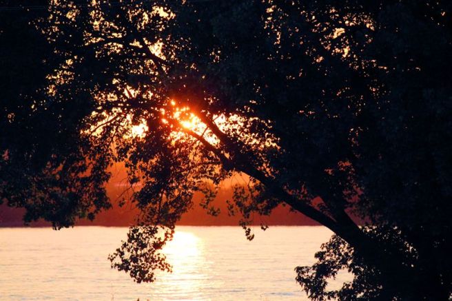 sunset2©Virginia Spencer, thepurpledogpaintingblog, 2013