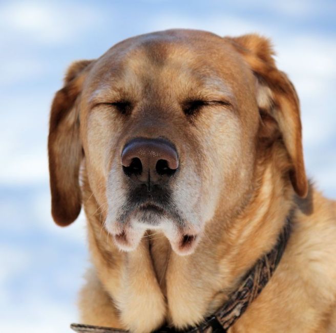 meditate©Virginia Spencer, 2014