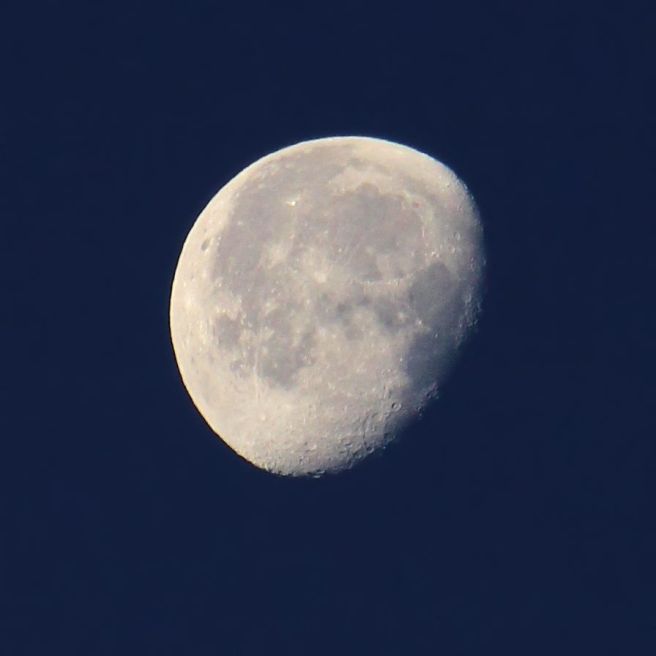 MoonJan©Virginia Spencer, 2014