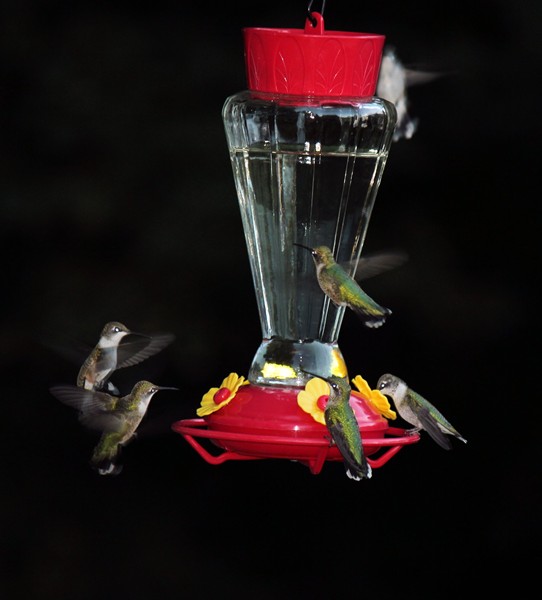 wchumm©Virginia Spencer, 2014