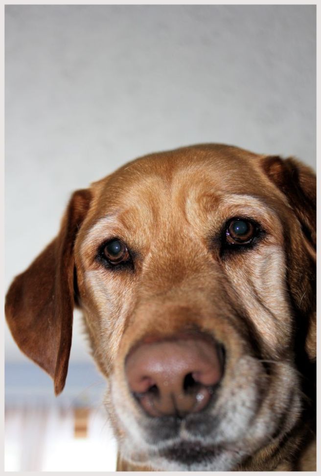 Zeusselfie1©Virginia Spencer, 2014