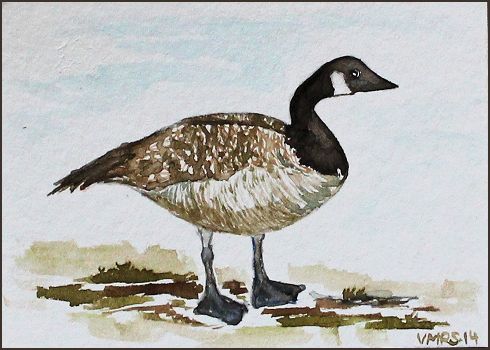 goose1©Virginia Spencer, thepurpledogpaintingblog, 2014