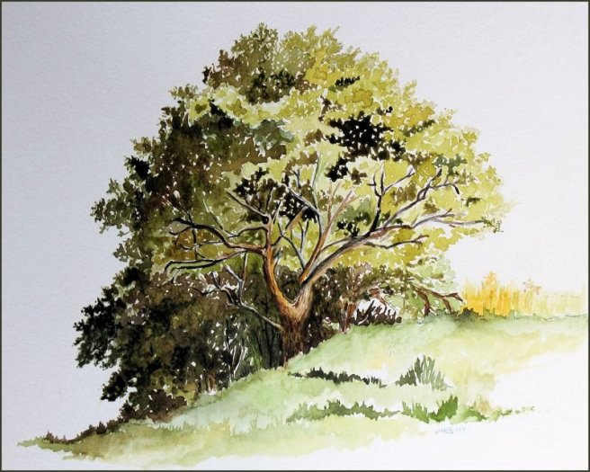 watercolor tree blog art