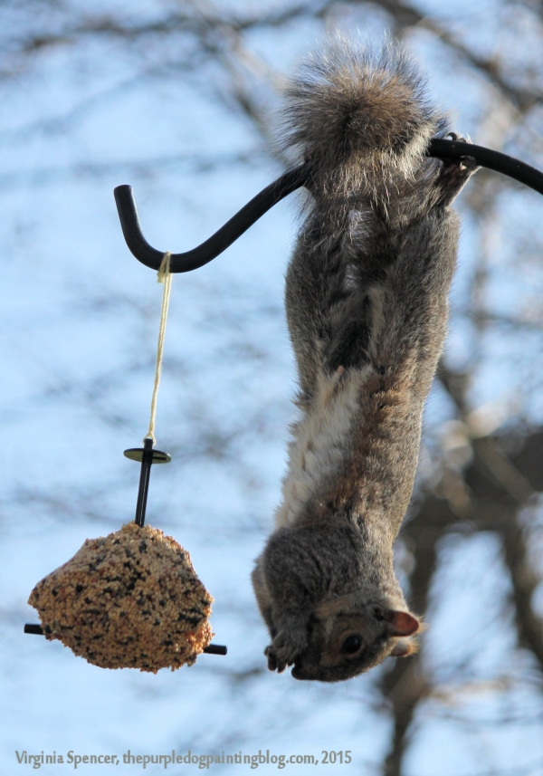 squirrel feeder