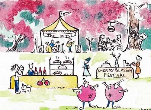 blog cherry festival