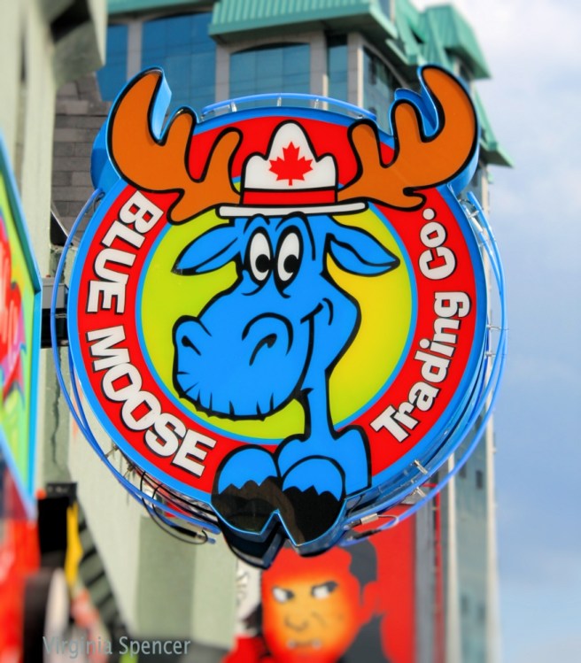 canada blog moose